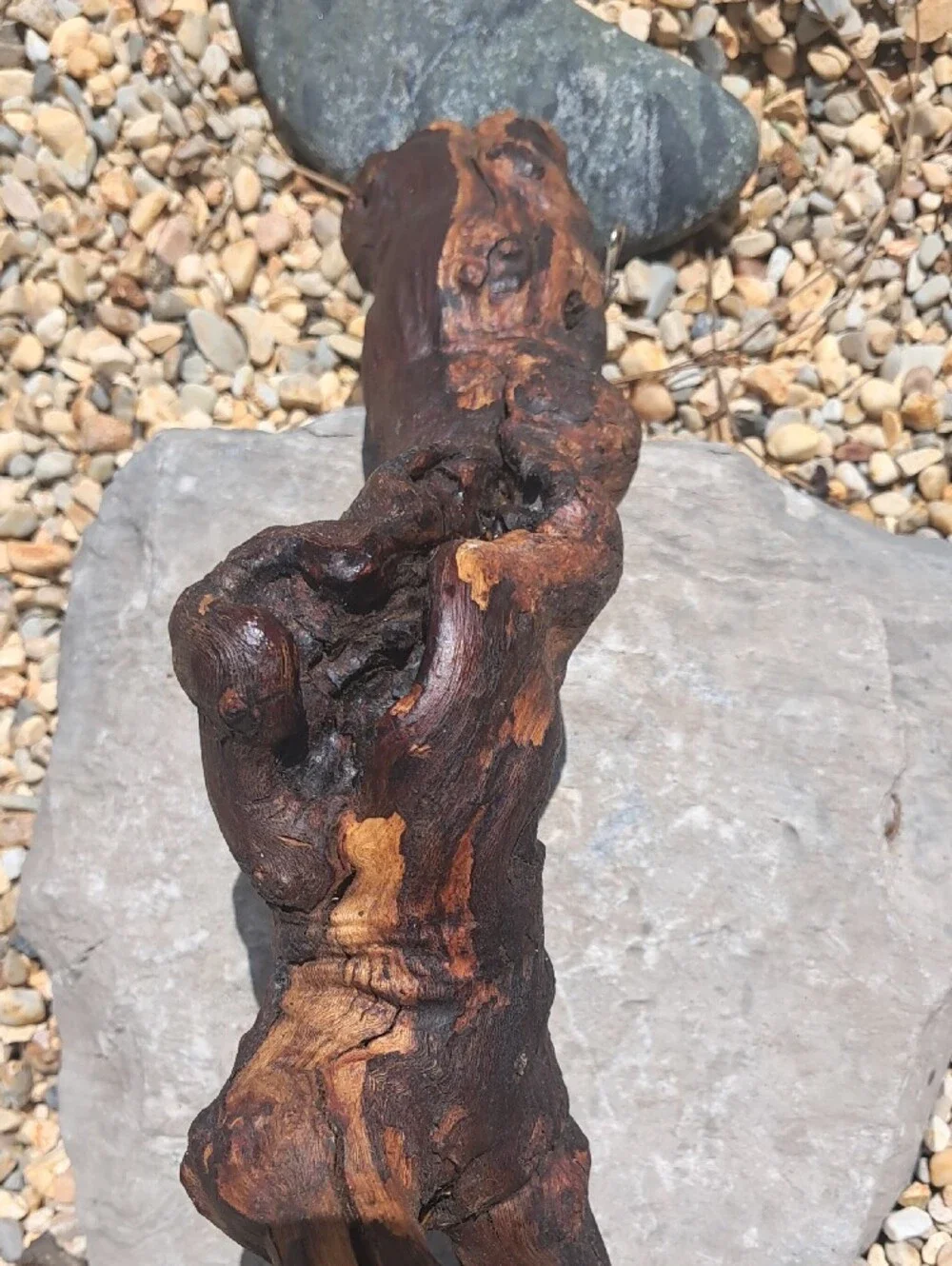Natural Driftwood Accent Branch - Rustic Home Decor